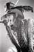 15 Steven Tyler