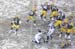 17 Protecting Favre IMG_2829