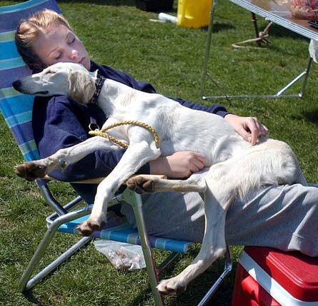 18 Dog Doze DSC_0814